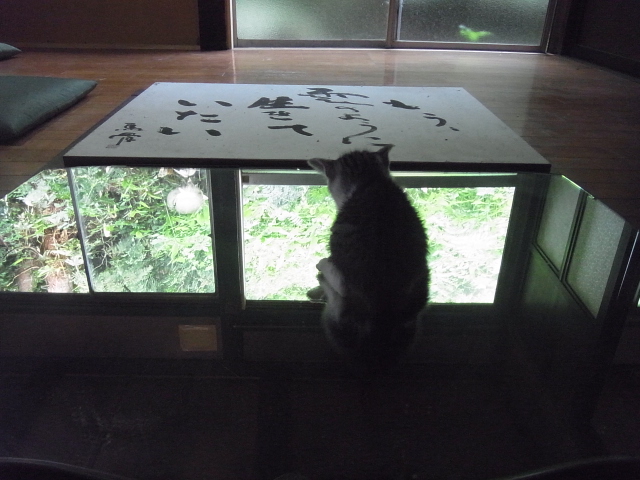 6,23昼