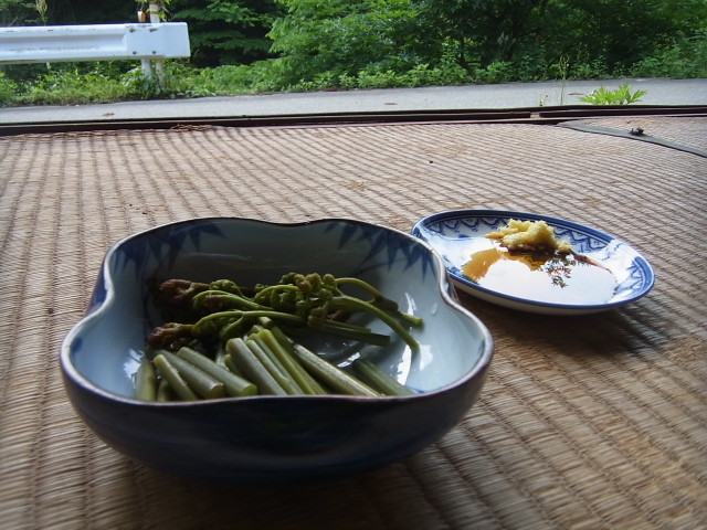 6,1朝