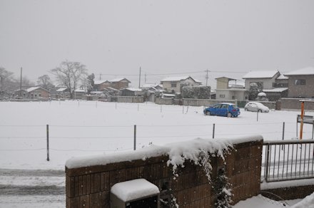2014020801.jpg