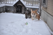 2014020902.jpg