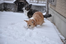 2014020903.jpg