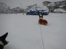 2014021202.jpg