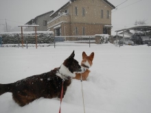 2014021204.jpg