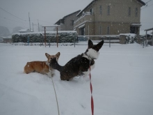 2014021205.jpg