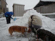 2014021207.jpg