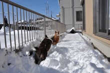 2014021406.jpg