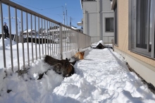 2014021407.jpg