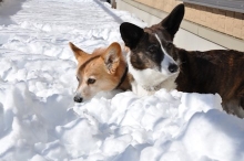 2014021410.jpg