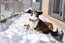2014021411.jpg