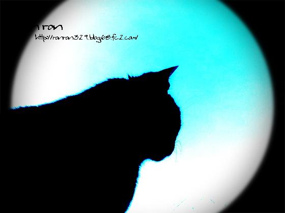 20121125photo11.jpg