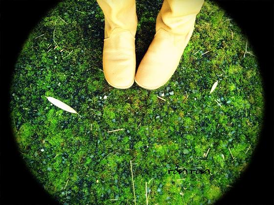 20121125photo12.jpg