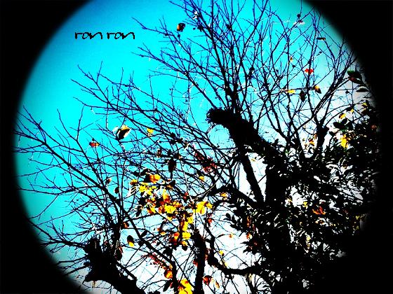 20121125photo14.jpg