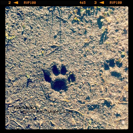 20121125photo8.jpg