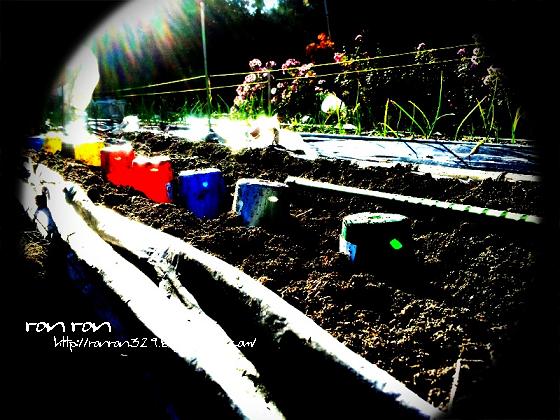 20121125photo9.jpg