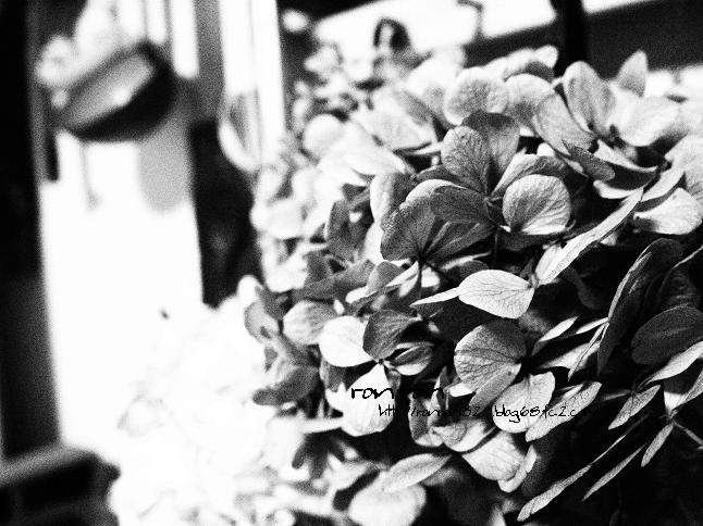 20121230photo1.jpg