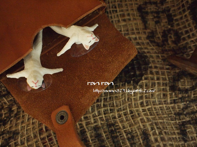 20140117photo7.jpg