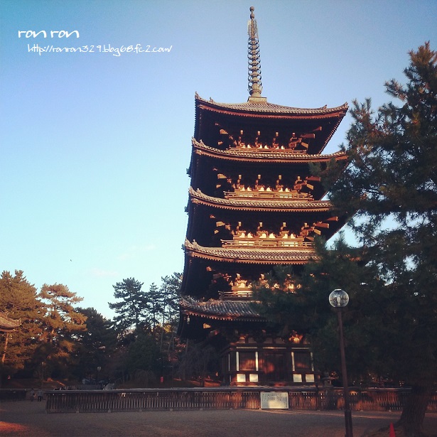 20140123photo1.jpg