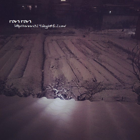 20140208photo1.jpg