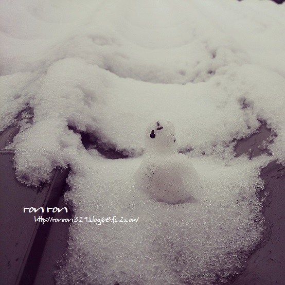 20140208photo3.jpg