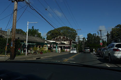 P1000263.jpg