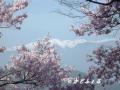 高遠城址2