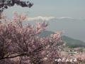 高遠城址