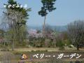 ベリーガーデン