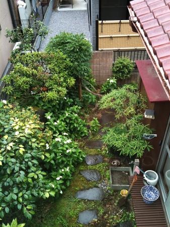 1207hamabera.jpg