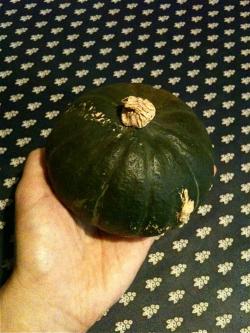 1208kabocha1.jpg