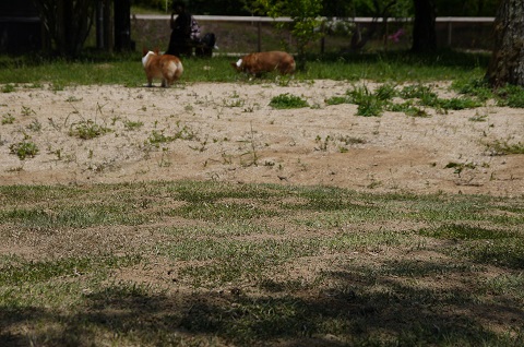 P1030857k.jpg