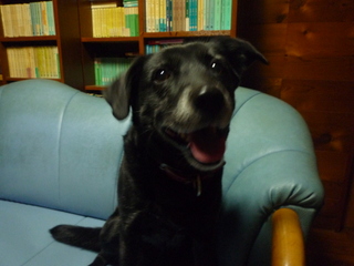 006_20121118133946.jpg