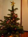 006_20121209213656.jpg