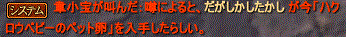 pet2.gif