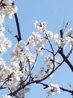 002_20130321171153.jpg