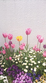 002_20130405172839.jpg