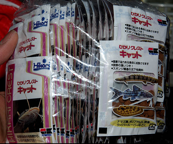 IMGP1149.jpg