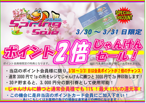 E3839DE382A4E383B3E38388E5808DE68ABCE381972013spring.jpg
