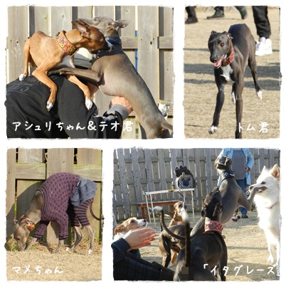 イタグレーズ