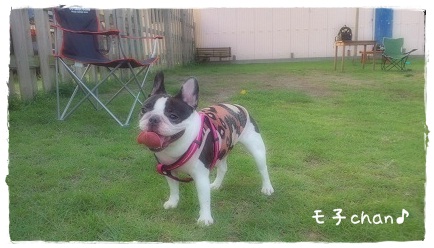 モ子ちゃん