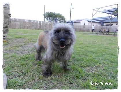 もんちゃん