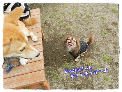 ツナ&kinakoちゃん