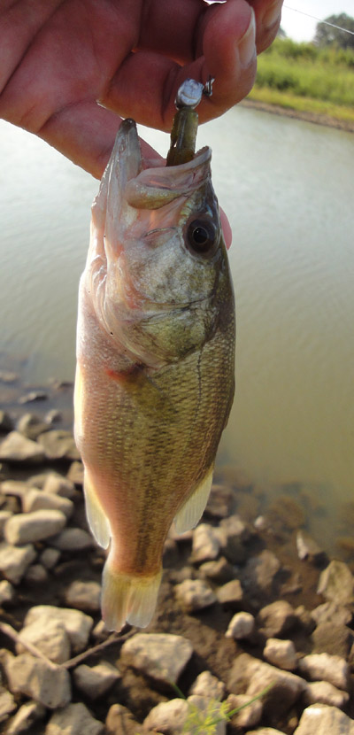 002_20120913150723.jpg