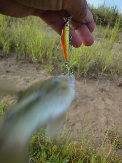 005_20120913150721.jpg