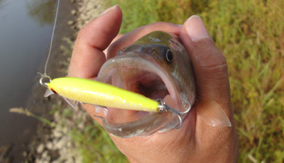 007_20120913150816.jpg
