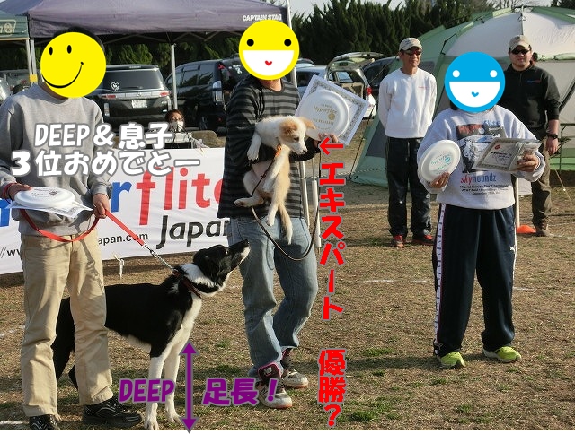 エキスパート表彰