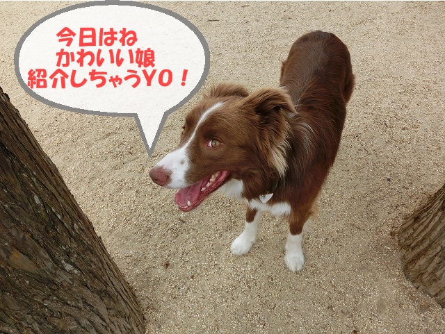 ルイ3,20もじ
