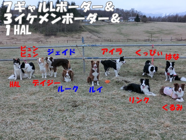 10ボー牧場