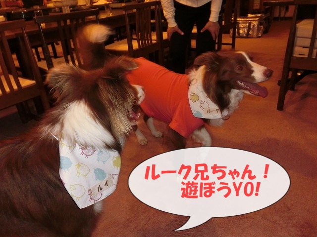 ルーク ルイ