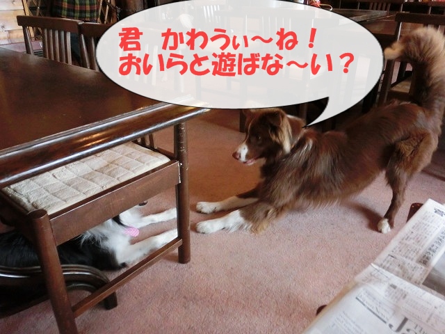 リンクなんぱ