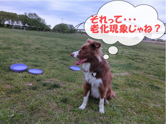 老化